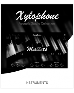 Muze Xylophone