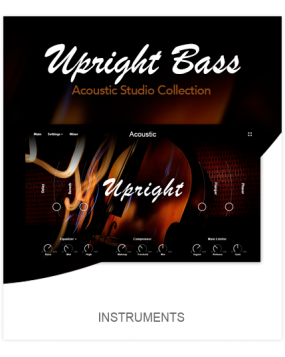 Muze Upright Bass