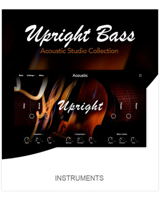 Muze Upright Bass